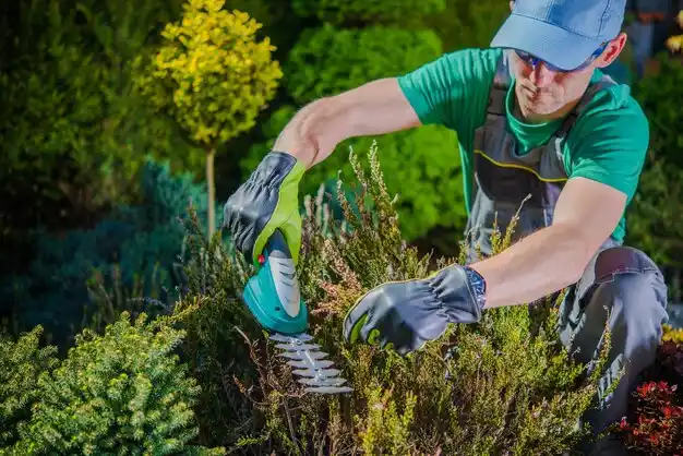 landscaping services Gardnertown
